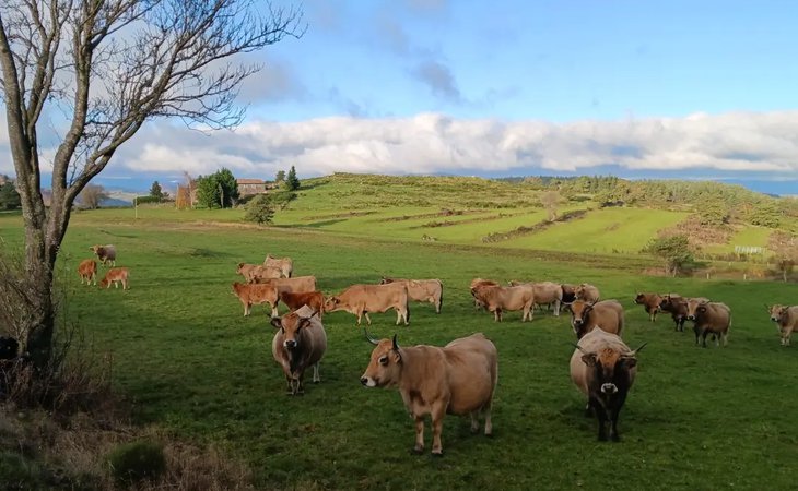 Photo Ferme de la Marette