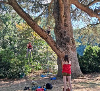 Photo Grimpe dans les arbres