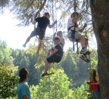 Photo Grimpe dans les arbres - Les Échappées Estivales