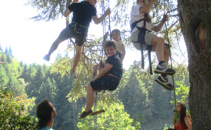 Photo Grimpe dans les arbres - Les Échappées Estivales®