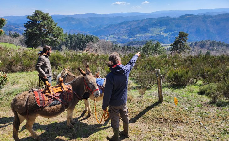 Photo Hiking with a donkey: summer escapes