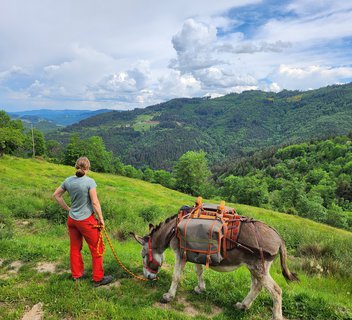 Photo Randonnée accompagnée avec âne - Les Échappées Estivales®