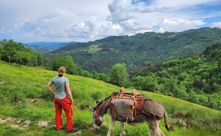 Photo Randonnée accompagnée avec âne - Les Échappées Estivales®