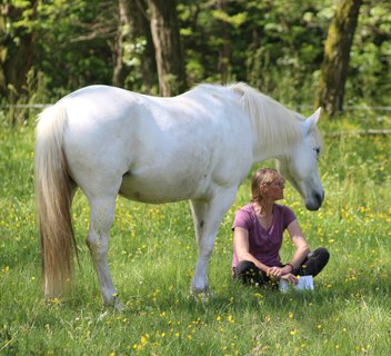 Le Vergier Equestrian Centre