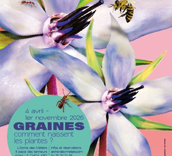 Photo Exposition temporaire : Graines, comment naissent les plantes ?