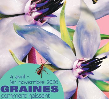 Photo Exposition temporaire : Graines, comment naissent les plantes ?