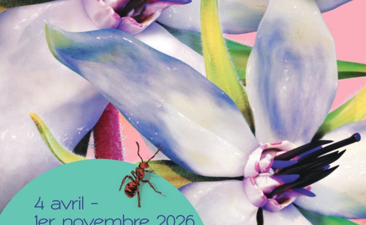 Photo Exposition temporaire : Graines, comment naissent les plantes ?