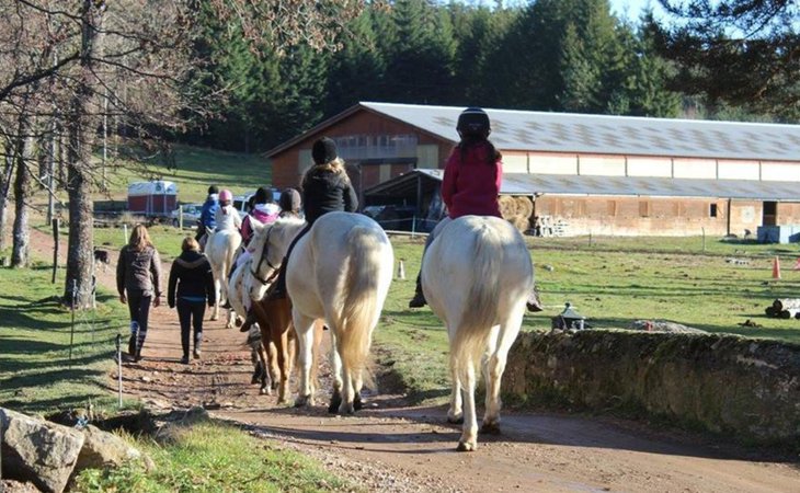 Photo Centre équestre Equitapassion