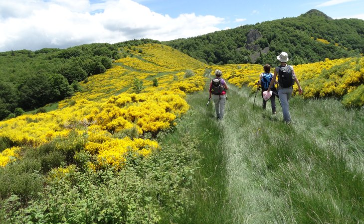 Photo Espace randonnées pédestres Val'Eyrieux