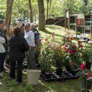 Marché aux plantes, de terroir et de l'artisanat