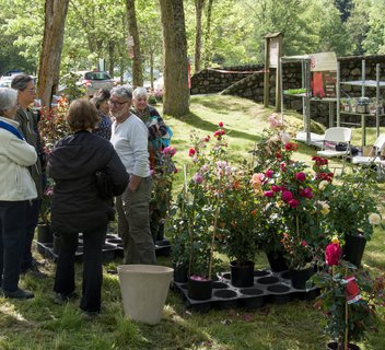 Photo Marché aux plantes, de terroir et de l'artisanat