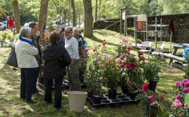 Photo Marché aux plantes, de terroir et de l'artisanat