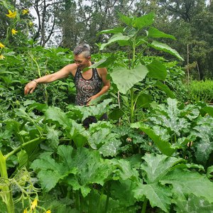 De Ferme en Ferme ® : visite du jardin Croque'ta graine