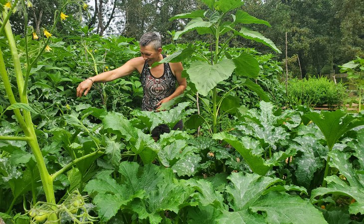 Photo De Ferme en Ferme ® : visite du jardin Croque'ta graine