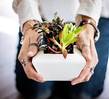 Photo Troc aux plantes