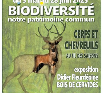 Photo Exposition ‘Cerfs et chevreuils au fil des saisons’