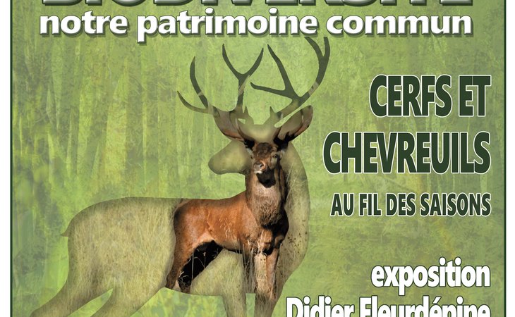 Photo Exposition ‘Cerfs et chevreuils au fil des saisons’