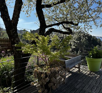 Photo Le Hameau du petit Nice Vivarois - Les Terrasses de l'Eyrieux
