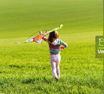 Photo Secrets de cerfs-volants
