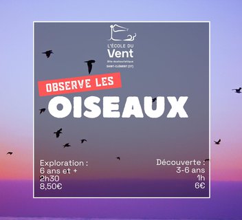 Photo Observe les oiseaux - Découverte