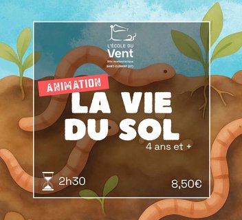 Photo La vie du sol