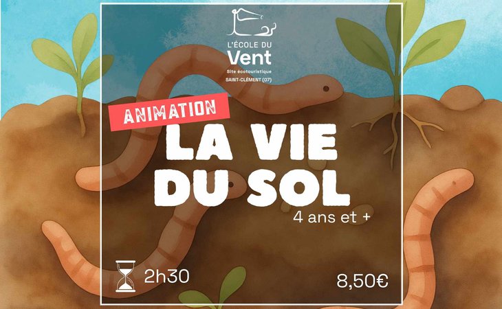 Photo La vie du sol