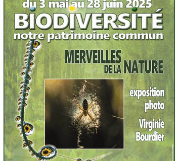Photo Exposition photo ‘Des merveilles végétales’