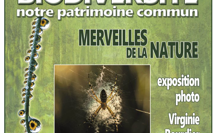 Photo Exposition photo ‘Des merveilles végétales’