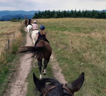 Balades à cheval - Les Écuries de Champsac