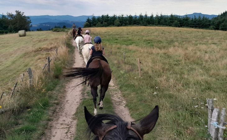 Photo Balades à cheval - Les Écuries de Champsac