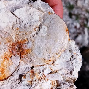 Excursion géologique sur le thème "La géologie autour de Vernoux-en-Vivarais"