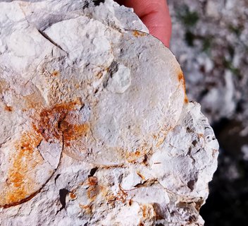 Photo Excursion géologique sur le thème "La géologie autour de Vernoux-en-Vivarais"