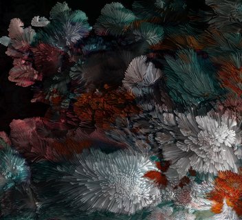 Photo Exposition : L'Arbre et le lichen / Commissariat Thierry Poquet