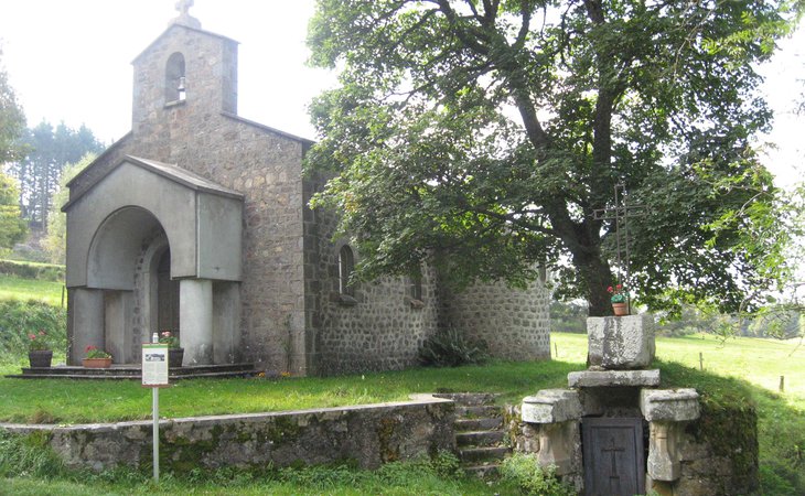 Photo Chante coucou - N°32