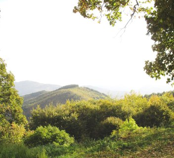 Circuit des Eoliennes - VTT FFC N°29 ROUGE