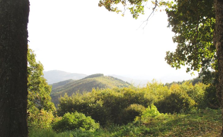 Photo Circuit des Eoliennes - VTT FFC N°29 ROUGE