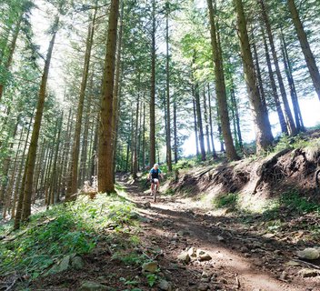 Circuit des Eoliennes - VTT FFC N°29 ROUGE