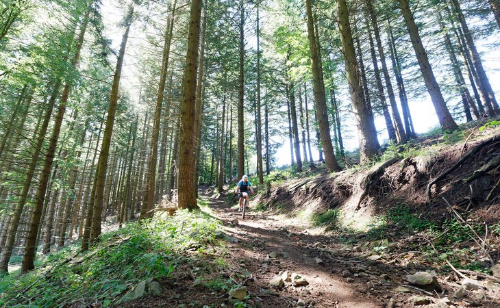 Photo Circuit des Eoliennes - VTT FFC N°29 ROUGE