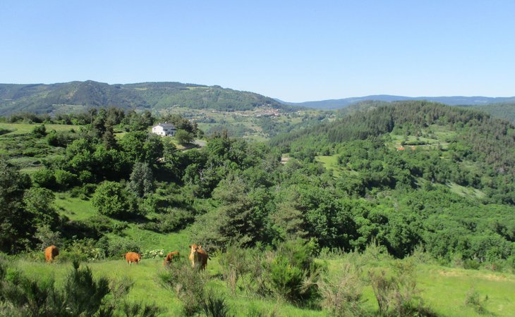 Photo Le Bellevue - VTT FFC N°31 Rouge