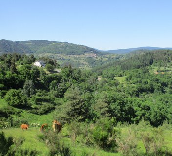 Le Bellevue - VTT FFC N°31 Rouge