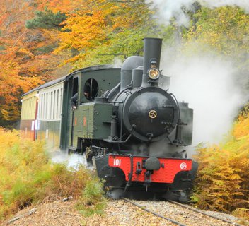 Le Chiniacum - VTT FFC N°27 Vert