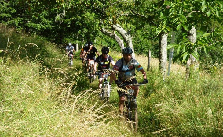 Photo Les Terrasses - VTT-FFC N°16 Bleu