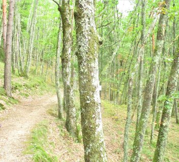 Sentier Jean Legalland - N°6