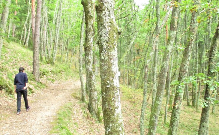 Photo Sentier Jean Legalland - N°6