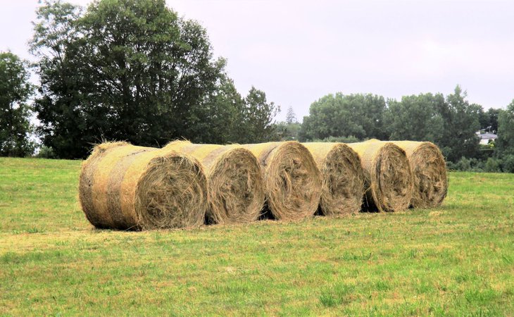 Photo Boucle Sud - N°34