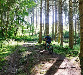 Boucle Sud - VTT FFC N°5 Noir