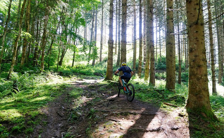 Photo Boucle Sud - VTT FFC N°5 Noir