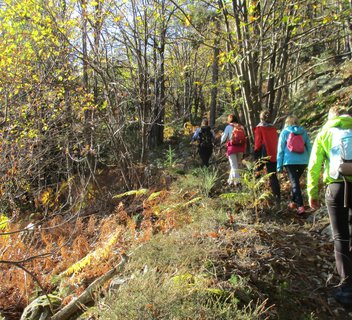 Circuit du Picodon - N°4