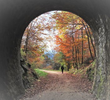 L'Aygeneyre - VTT FFC N°38 Vert