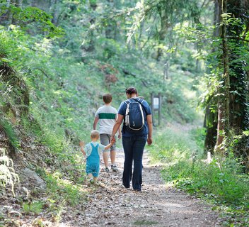 Le Bois de la Chèze